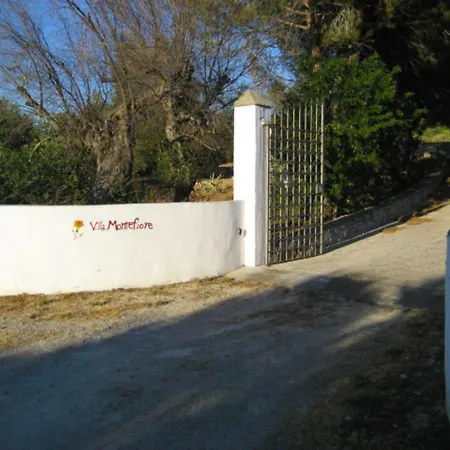 Montefiore