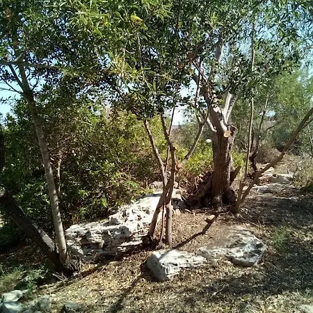 Montefiore בית נופש