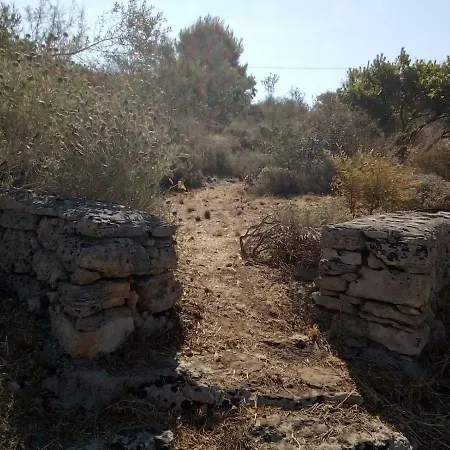 Montefiore בית נופש