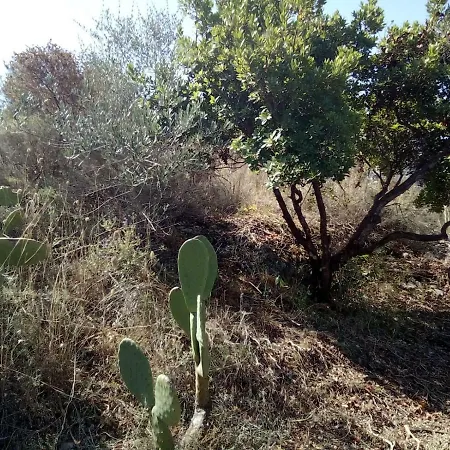 Montefiore בית נופש *